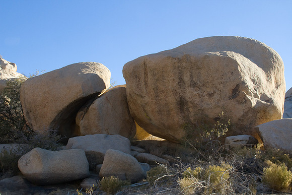 joshuatree09-2556