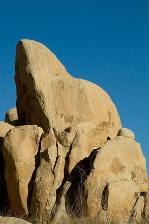 joshuatree09-2554