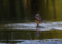SanJoaquin-2012-1223