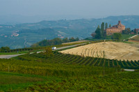 Vineyards
