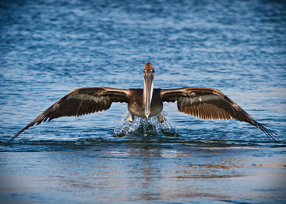 From the water I will rise.....
