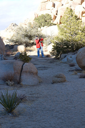 joshuatree09-2239