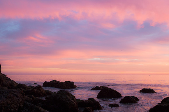 Pretty in Pink...
