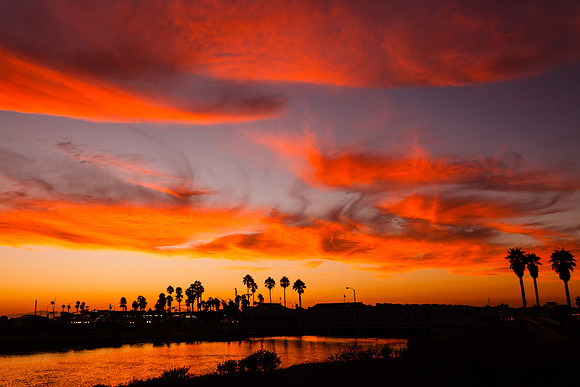 BolsaChica2012-8859