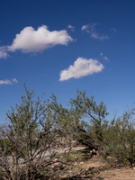 NV-2012-210020