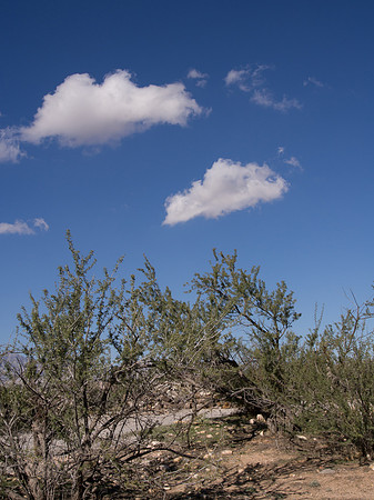 NV-2012-210020