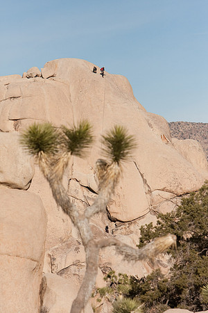 joshuatree09-0483