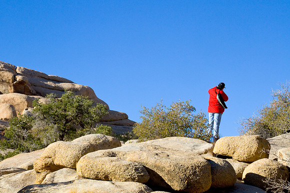 joshuatree09-2591