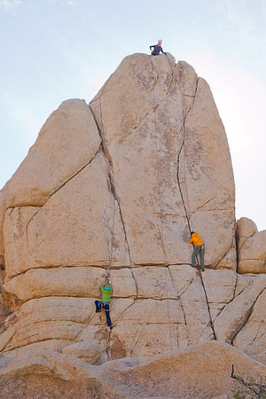joshuatree09-2250