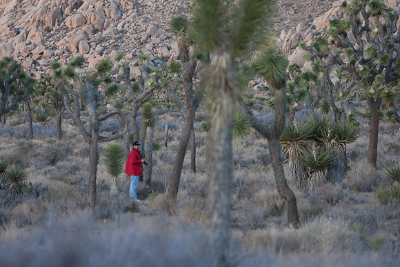 joshuatree09-0563