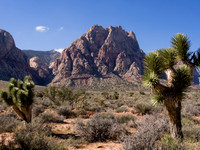 NV-2012-210007