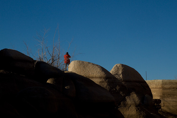 joshuatree09-2547