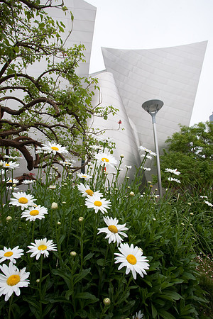 disney-hall-2468