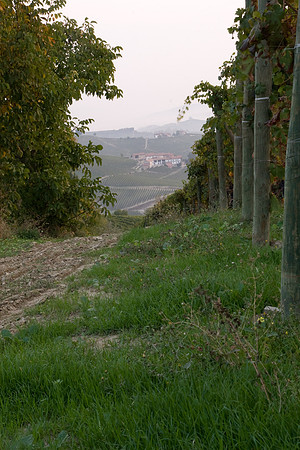it-torino-2655