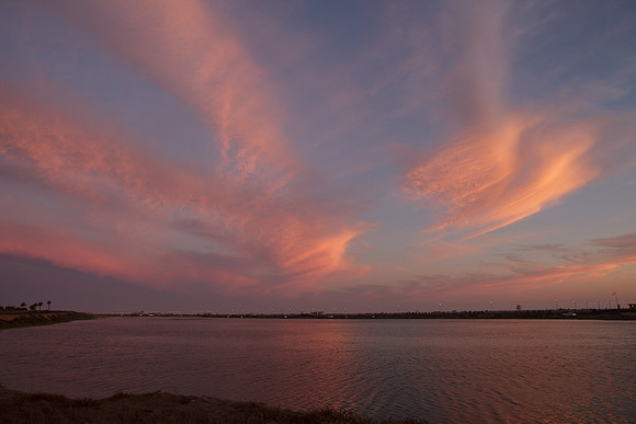 BolsaChica-2012-8856