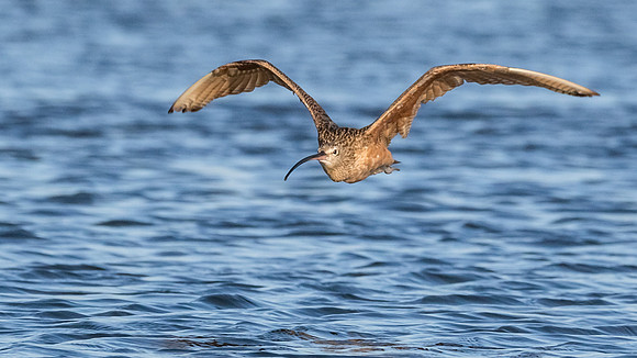 Fast and low flight