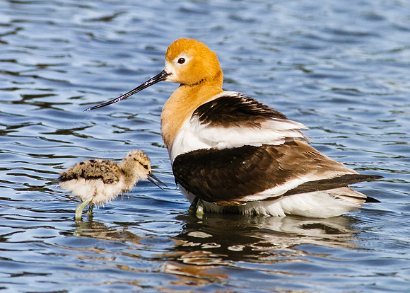 Out with mom