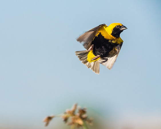Lift off