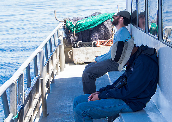 Spring Pelagic Trip