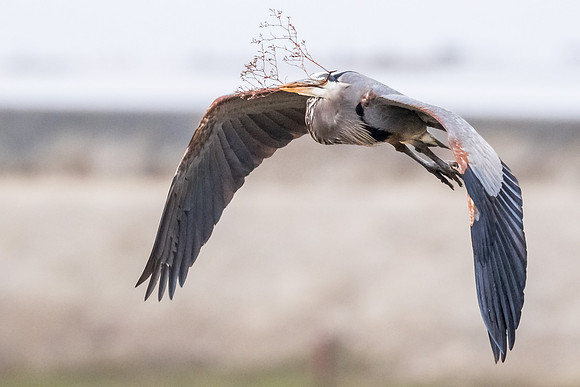 Nesting material delivery