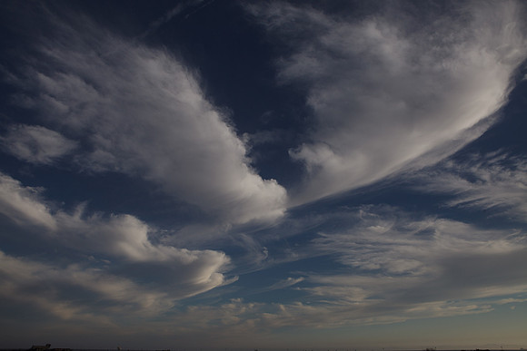 BolsaChica-2012-8752
