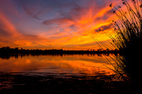 Blazin' sky