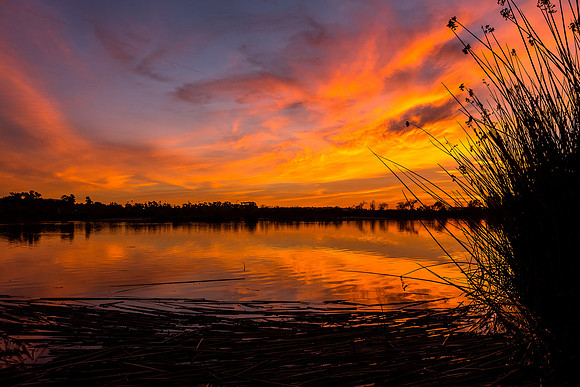 Blazin' sky