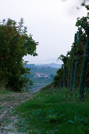 it-torino-2643