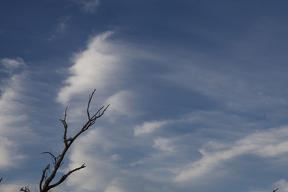BolsaChica-2012-8759