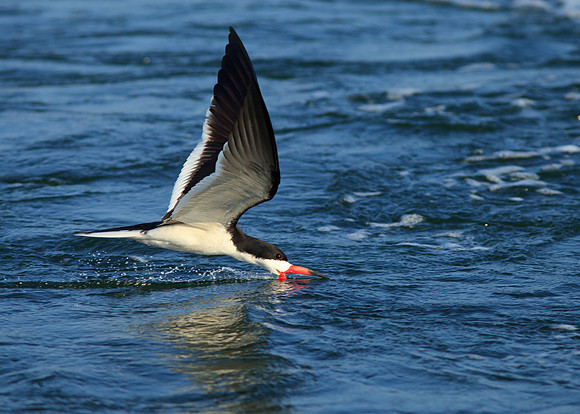 Skimming the surface