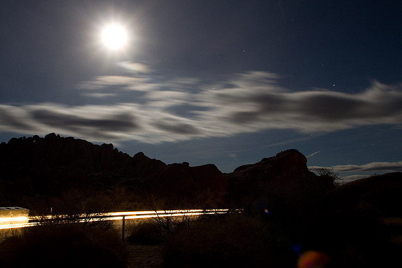 joshuatree09-2439