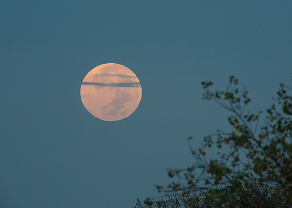 October Blood Moon