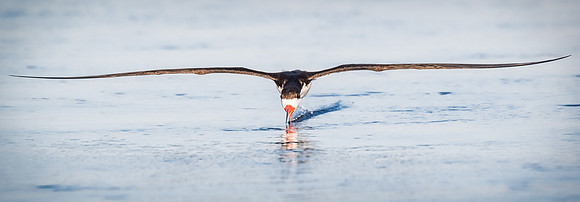 Skimming at ya