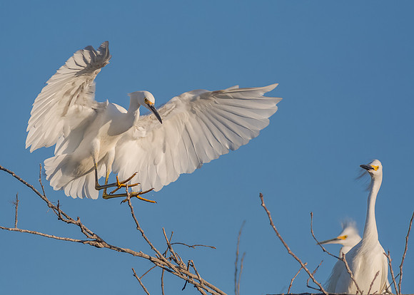 Hope he nails the landing....
