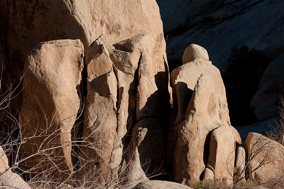 joshuatree09-0661