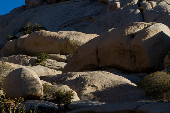 joshuatree09-2561