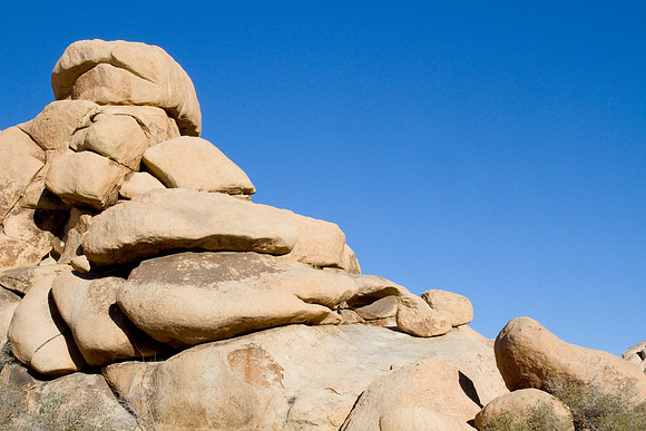 joshuatree09-2592