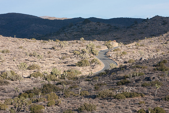 joshuatree09-0528