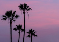 OC-NewportBch-2015-1391-Edit