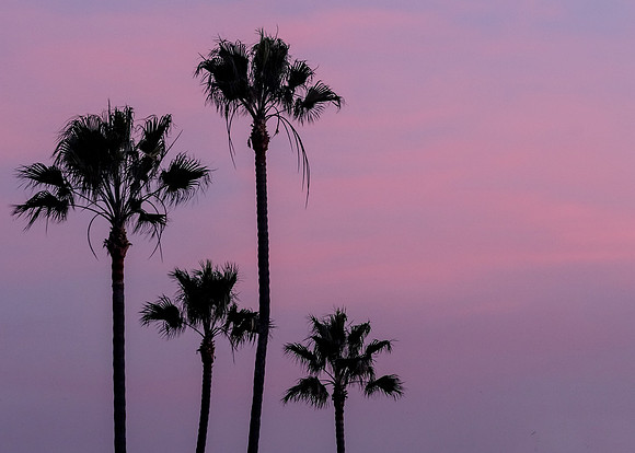 OC-NewportBch-2015-1391-Edit