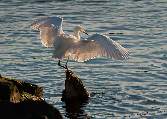 Landing with grace