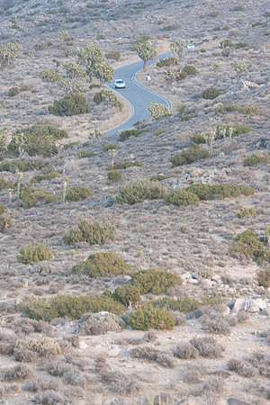joshuatree09-0524