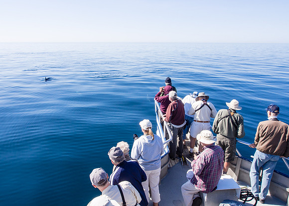Spring Pelagic Trip
