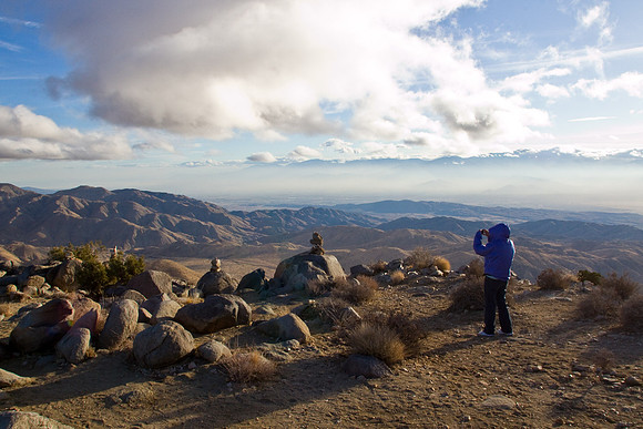 joshuatree09-2328