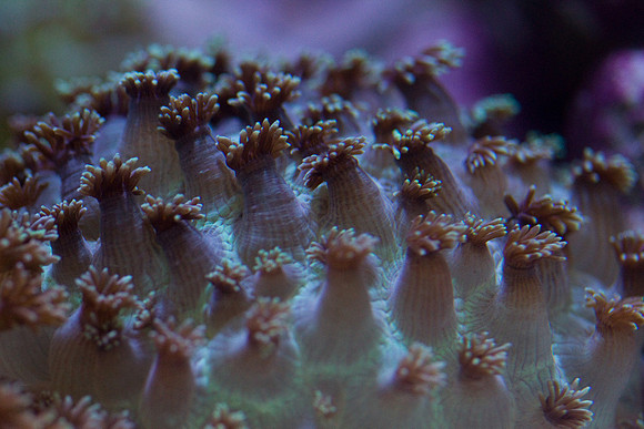 lb-aquarium-1280